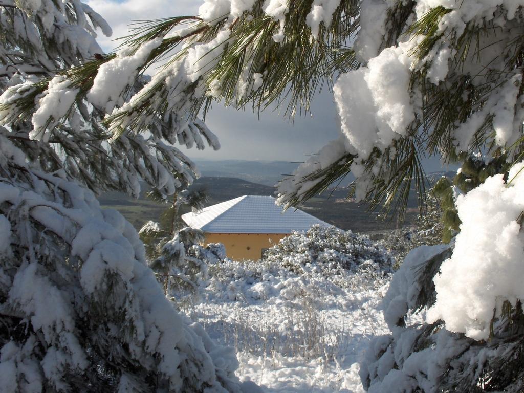 First Light Cabins Amirim Exterior photo